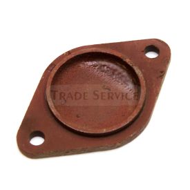 532038160031 TZ4K cover