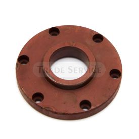 532038220011 TZ4K cover