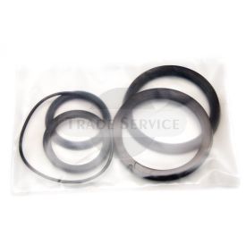 TZ4KH60/32 TZ4K old hydraulic ring set