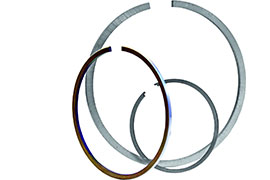 Prison rings